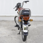 Pakzon Electric Bike PE back