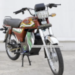 Pakzon Electric Bike PE front view