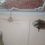 abfea ab a bb caadedcd