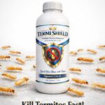 WhatsApp Image at .. PM