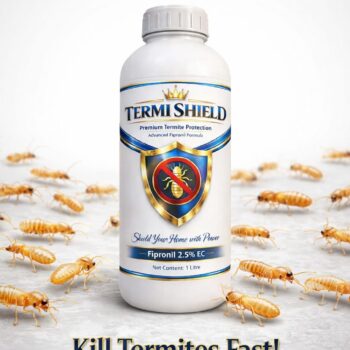 WhatsApp Image at .. PM