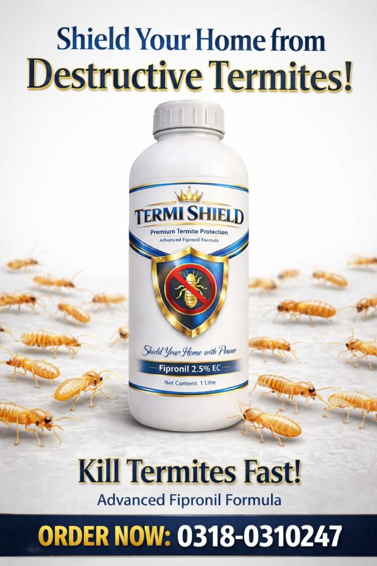 WhatsApp Image at .. PM