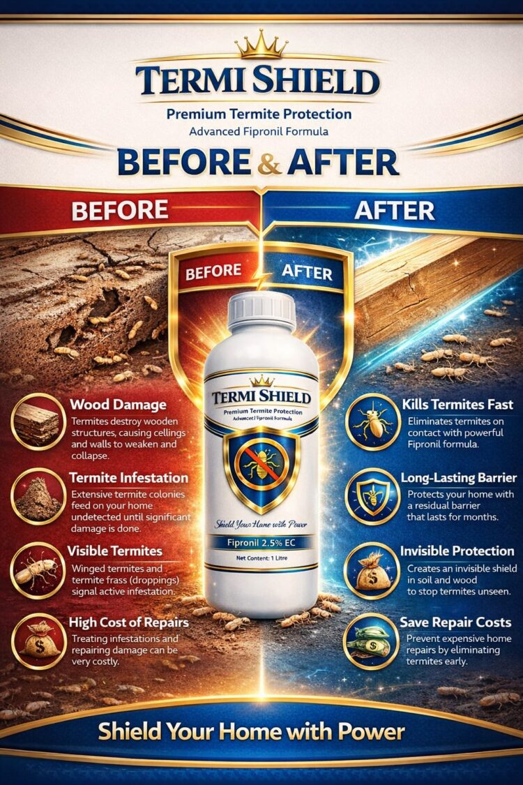 WhatsApp Image at .. PM